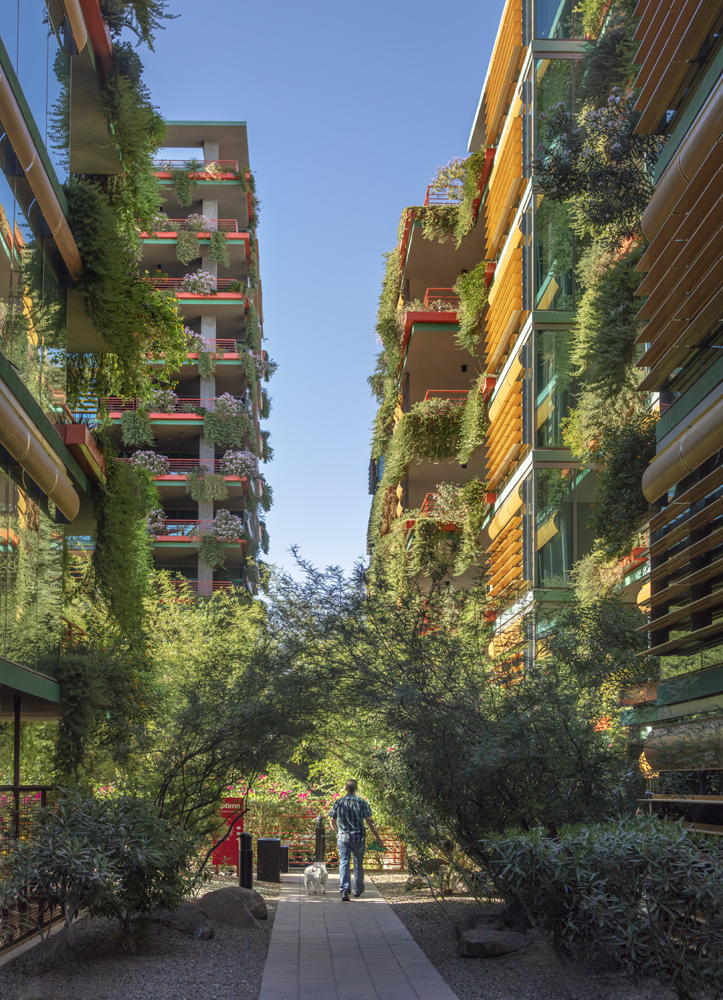 Take a stroll through our vibrant Scottsdale luxury apartment complex